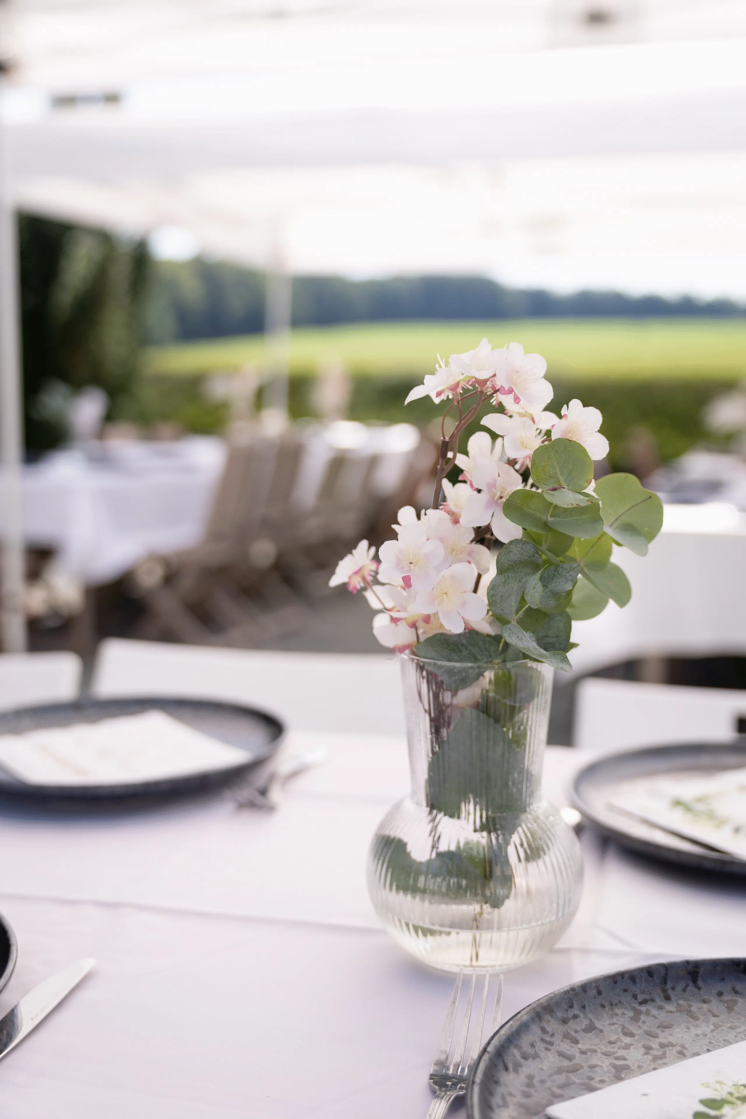 Brunch préparé sur place pour les invités